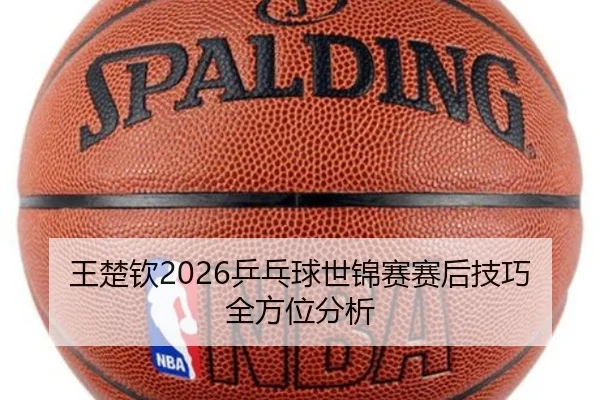 王楚钦2026乒乓球世锦赛赛后技巧全方位分析