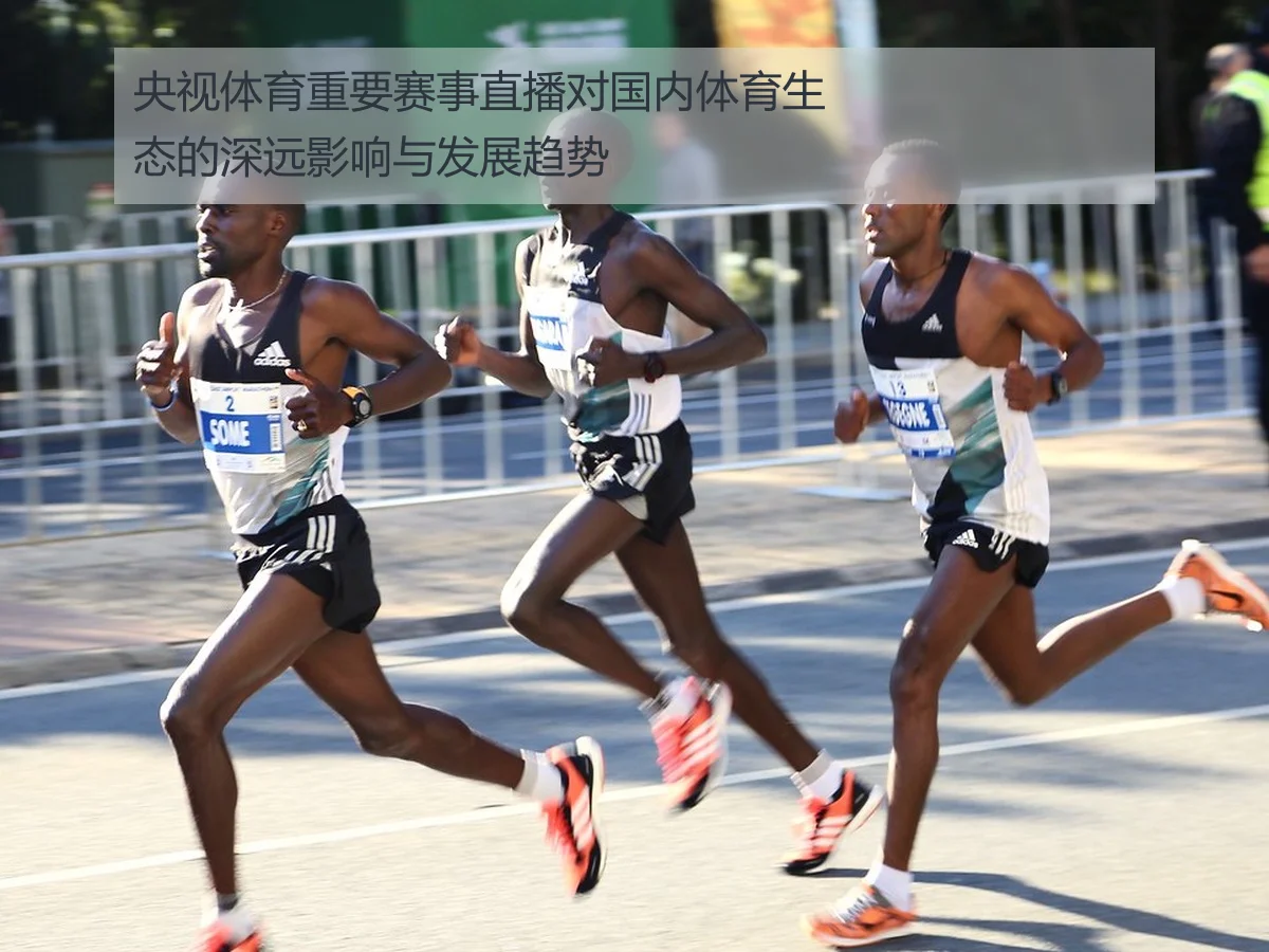 央视体育重要赛事直播对国内体育生态的深远影响与发展趋势